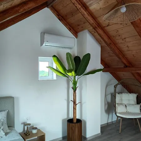 Apartamento With Swimming Pool Bacici, Krka - 24721